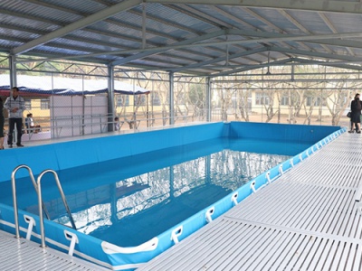 Hồ bơi di động